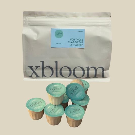 إكس بلوم إثيوبيا تانغ